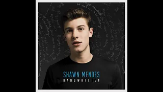 Shawn Mendes - Stitches (Official instrumental + backing vocals)