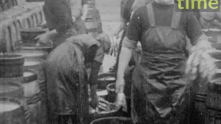 Female workers at docks processing the herring fleet, 1930s LTT0154