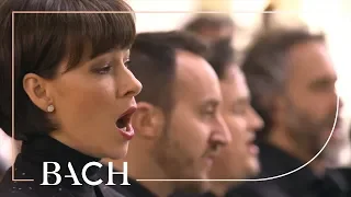 Bach - Cantata Jesus nahm zu sich die Zwölfe BWV 22 - Kuijken | Netherlands Bach Society