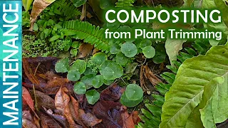 Making compost out of aquatic plant cuttings|| Composting