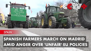 Spanish Farmers March on Madrid Amid Anger over 'unfair' EU Policies