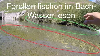 Forellen finden im Fliessgewässer, das Wasser lesen