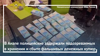 Ирина Волк: В Анапе полицейские задержали подозреваемых в хранении и сбыте фальшивых денежных купюр