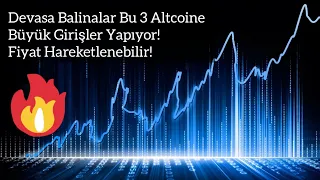 Devasa Balinalar Bu 3 Altcoine Büyük Girişler Yapıyor! Fiyat Hareketlenebilir! |  Kripto Haber.