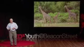 Menyelamatkan hewan, menyelamatkan masa depan | John Linehan | TEDxYouth@BeaconStreet