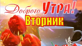 Доброго Утра Вторник Красивая Песня Пожелание С Добрым Утром Музыкальная открытка ЧудесногоВторника