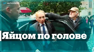 Кандидат в президенты Франции Эрик Земмур получил яйцом по голове