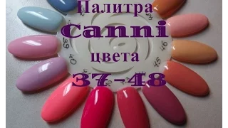 Палитра Canni цвета 37-48. Свотчи Canni. Плотность Canni. Обзор