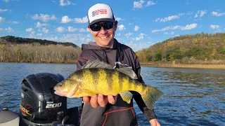 Open Water Jumbo Perch on the Mississippi River - In Depth Outdoors TV S16 E15