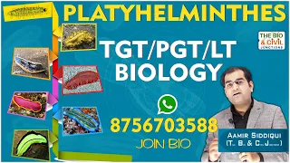 TGT/PGT - LT BIOLOGY || NON-CHORDATES (PAID CLASS-20) || Aamir Siddiqui || THE BIO & CIVIL JUNCTIONS