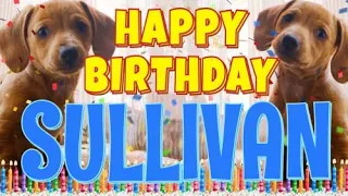 Happy Birthday Sullivan! ( Funny Talking Dogs ) What Is Free On My Birthday