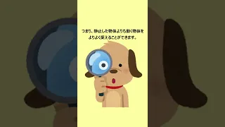 犬の雑学 #shorts #雑学 #1分雑学