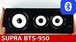 Портативная акустическая система SUPRA BTS-950