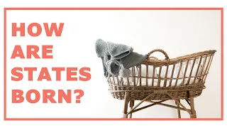 How are states born? Statehood and its elements | LexIcon