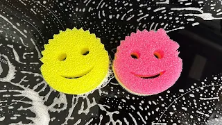 Scrub Daddy VS Scrub Mommy (What’s the difference?)