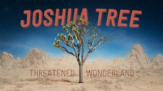 Joshua Tree: Threatened Wonderland