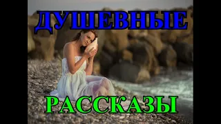 ДУШЕВНЫЕ  РАССКАЗЫ❤️ЕСТЬ КОНТАКТ❤️РАКУШКА❤️СЛУЖАНКА❤️ЖАКО И ПАСЫНОК @TEFI РАССКАЗЫ