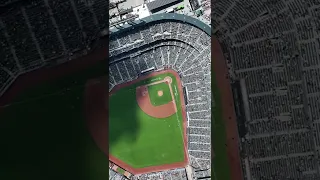 Oracle Park - The House of Giants of San Francisco