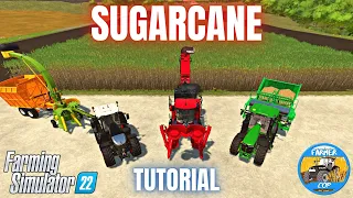 GUIDE TO GROWING SUGARCANE - Farming Simulator 22