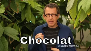 D'où vient le cacao ? - C'est Pas Sorcier