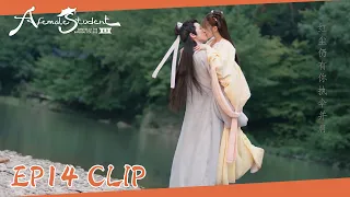 EP14 Clip | Sang Qi said that one kiss was not enough?! | 国子监来了个女弟子| ENG SUB