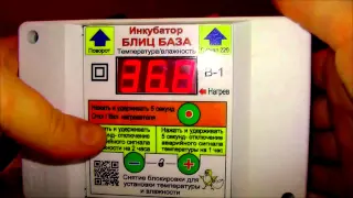 Инкубатор БЛИЦ БАЗА на 520 яиц - отзыв и видео обзор покупателя