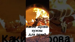 Дрова для пицца печи