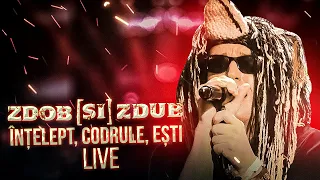 Zdob și Zdub — Înțelept, codrule, ești (Bestiarium Live)