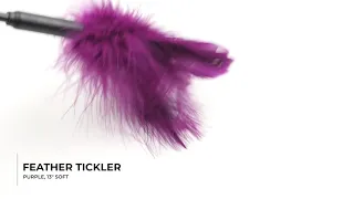 Feather Tickler 7", Purple by Sportsheets - SS10071