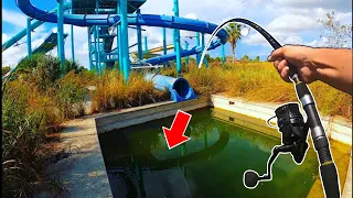 Big Fish In The Abandoned Water Park!