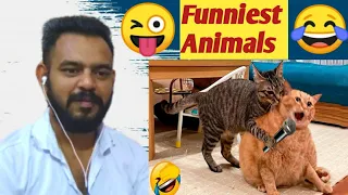 Funny Dog And Cat 😍😂😻 Funniest Animals #221 || funny animal videos 2023 | Reaction
