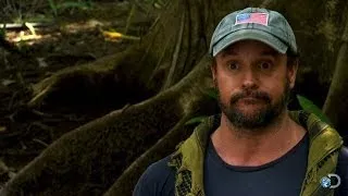 Sexy Trees | Dual Survival