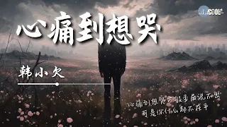 韩小欠 - 心痛到想哭「心痛到想哭万般委屈说不出 可是你什么都不在乎」现实太残酷真心总是被辜负【动态歌词 Lyrics】