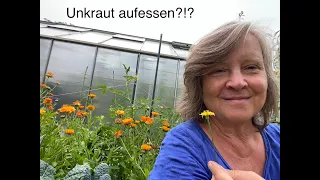 Gesundes Unkraut? Wie du essbare Wildpflanzen in deinem Garten findest