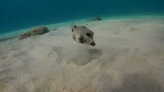 BonAire-TLSEA-MAR2023