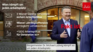 Bürgermeister Dr. Michael Ludwig bei Puls24 am 05.10.2020