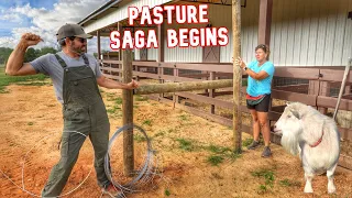Our Epic Pasture Project Is Back! (Plus an Update on Topper)