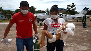 Lula da Silva centra atenção e prepara ações para travar crise sanitária dos Yanomami