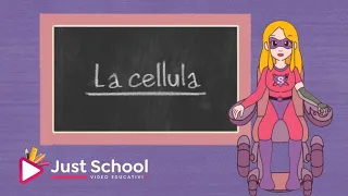 La cellula scuola primaria.