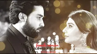 𝐓𝐞𝐫𝐚 𝐌𝐞𝐫𝐚 𝐇𝐚𝐢 𝐏𝐲𝐚𝐫 𝐀𝐦𝐚𝐫 - Ishq Murshid - [ OST Slowed +Reverb ]-(Female Version ) - By Fabiha Hashmi