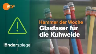 Glasfaser für die Kuhweide | Hammer der Woche vom 15.04.23 | ZDF