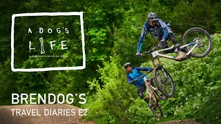 A DOGS LIFE - S2 Ep2 CHATEL AND THE PORTES DU SOLEIL BRENDAN FAIRCLOUGH DANNY HART ANDREW NEETHLING