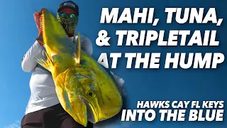 Tuna, Mahi, and Tripletail At The Hump - FLORIDA KEYS | Into the Blue