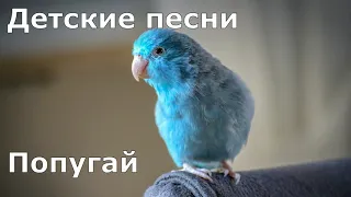 Детские песни.  Попугай