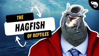 You're Basically The Hagfish of Reptiles...