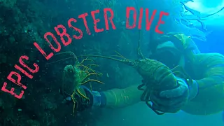 SoCal Spiny Lobster Freediving with River  Hagg - Lobster Rolls