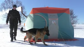 3 DAYS ICE FISHING WITH DOG (eng subtitles)