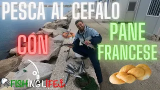 Pesca al cefalo con pane francese