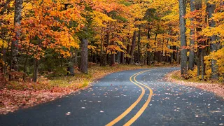 Трогательная мелодия осенней грусти. Послушайте!!! Эдгар Туниянц - Заплаканная осень