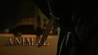 Scream || Animal